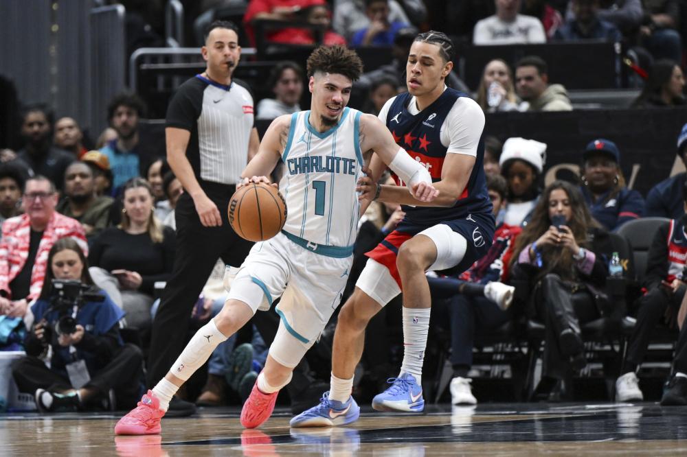 不仅展示了 不仅展示了